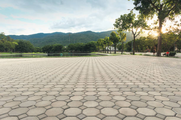 Best Residential Paver Driveway  in De Soto, IA